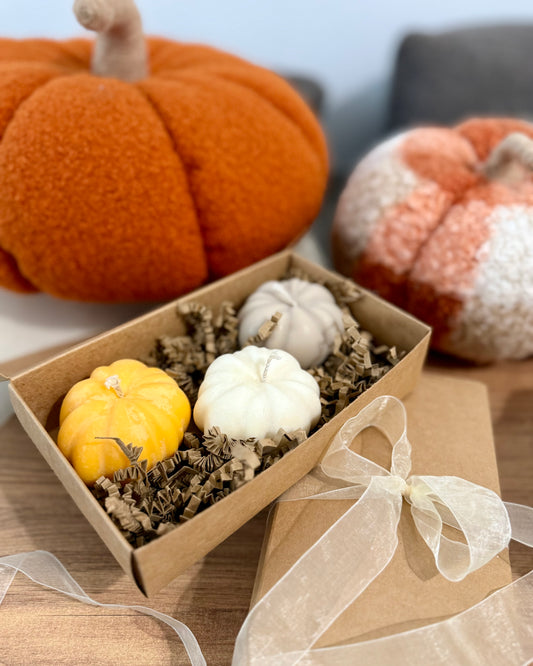 Pumpkin box