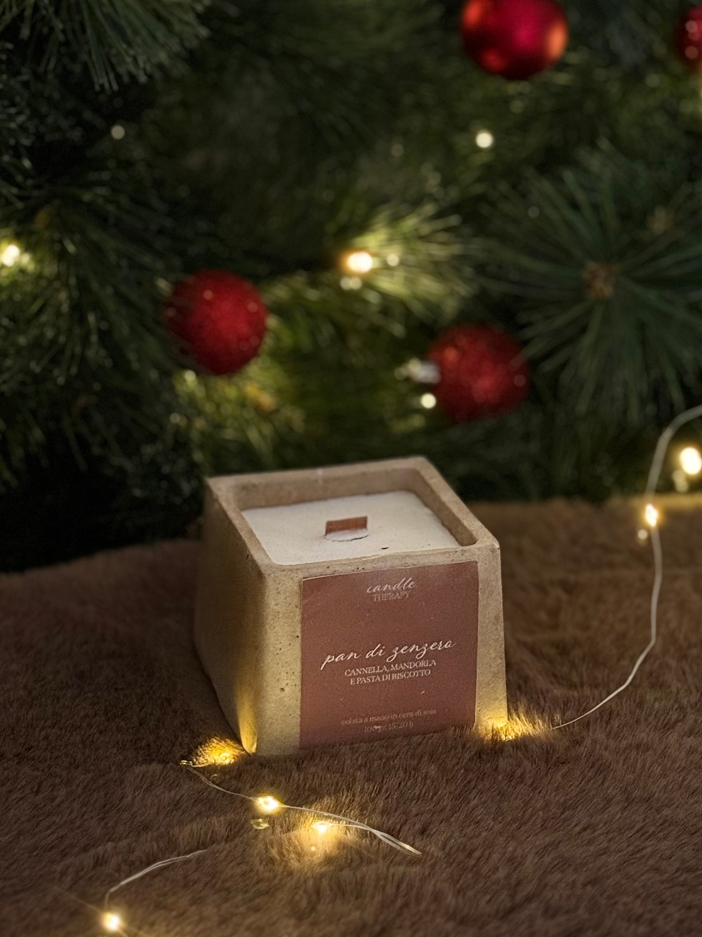 Pan di zenzero | linea cemento